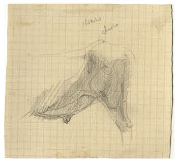 Visualizza l'immagine "FD D 364"